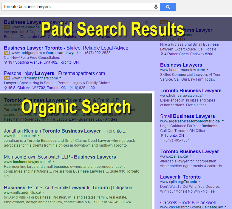 Organic and paid search results