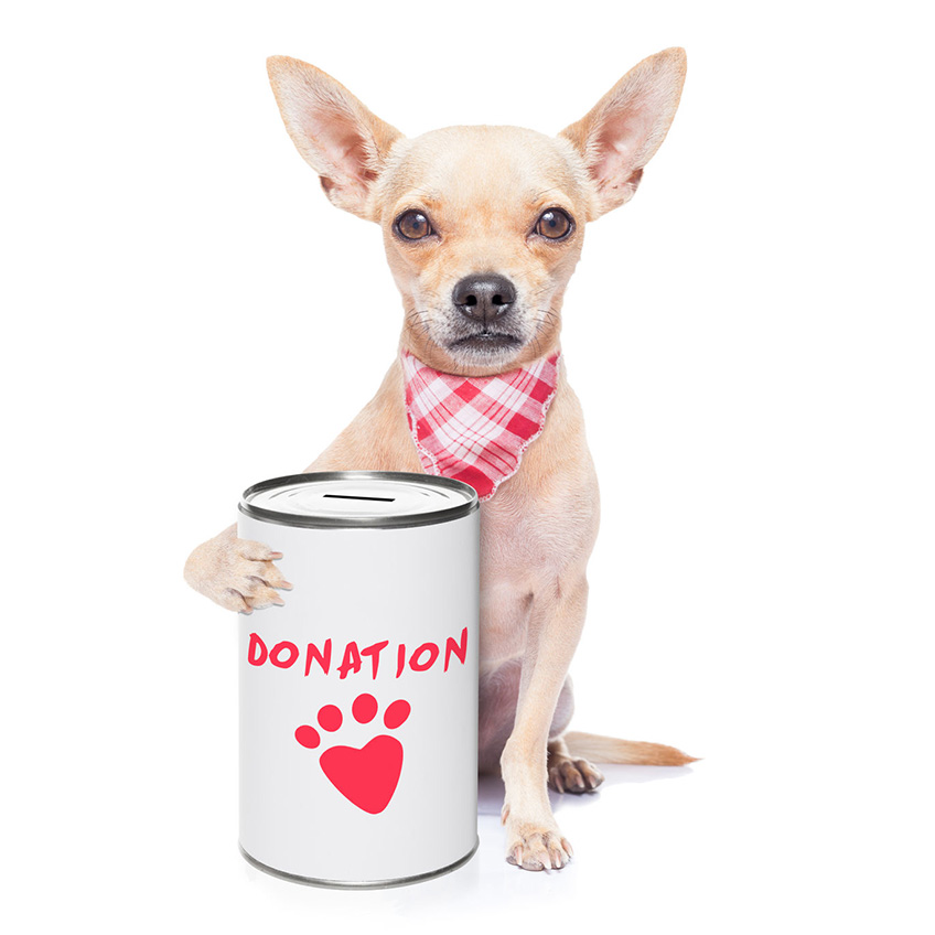dog-donation-jar